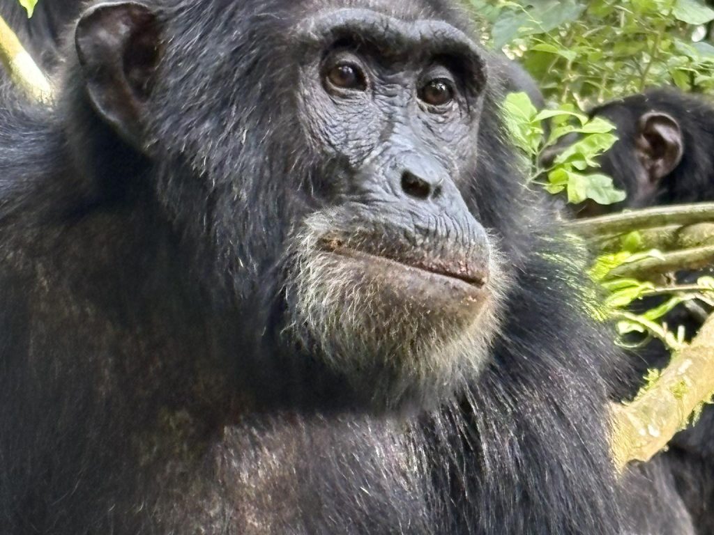 654202618_1474246198044258_2591809426172036632_n