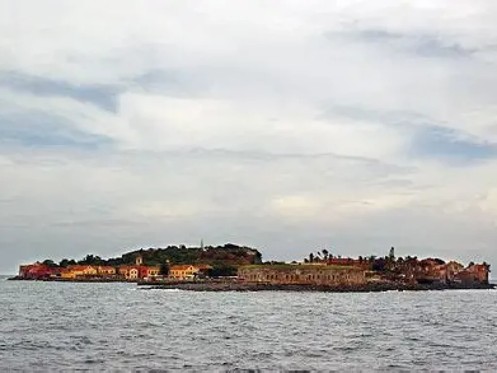 OIP (23)