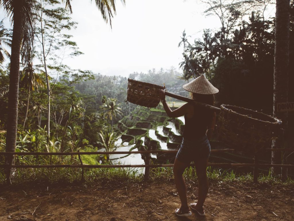 Young agriculture woman carrying tools on rice terraces in Ubud Village, Bali, Indonesia. Rice terraces during golden light. Silhouette of woman on vintage edit
