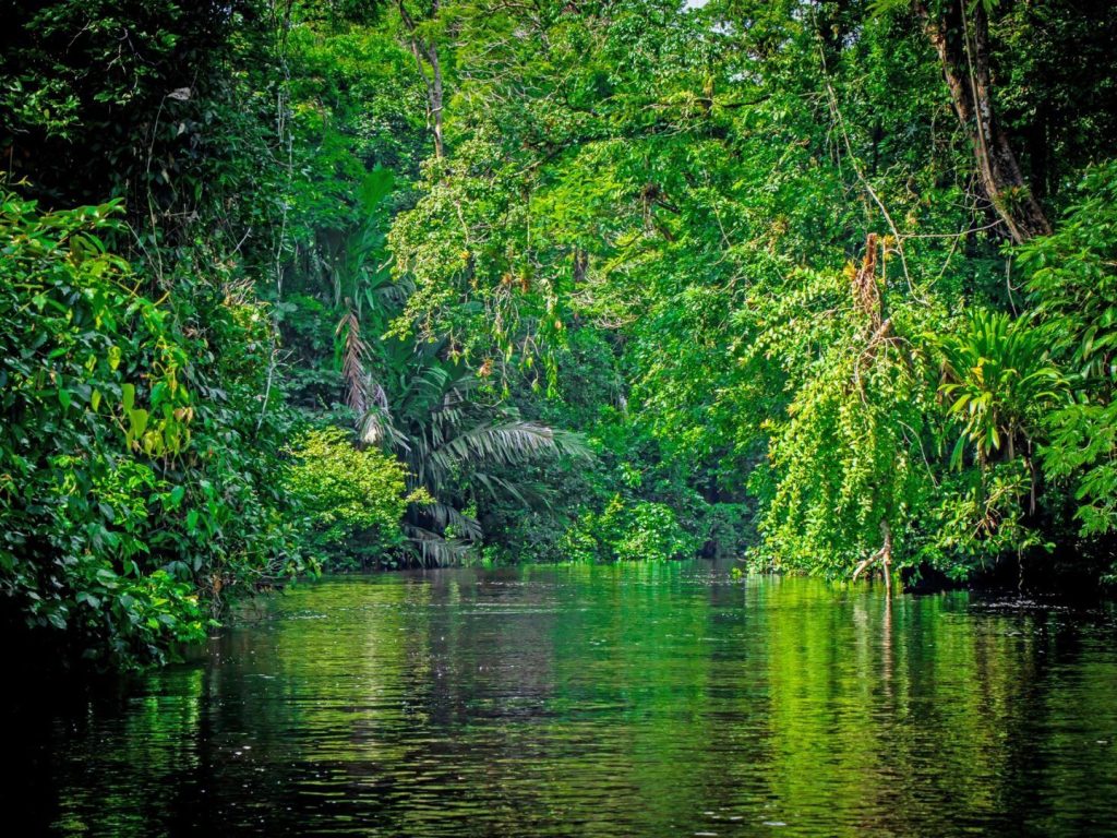 tortuguero-canal-costa-rica-shutterstock_1473250463_4d1101f966